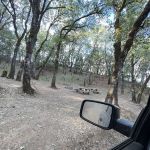 Mayacmas Campground