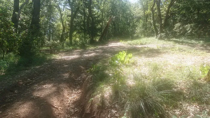 Mayacmas Campground Picture 8