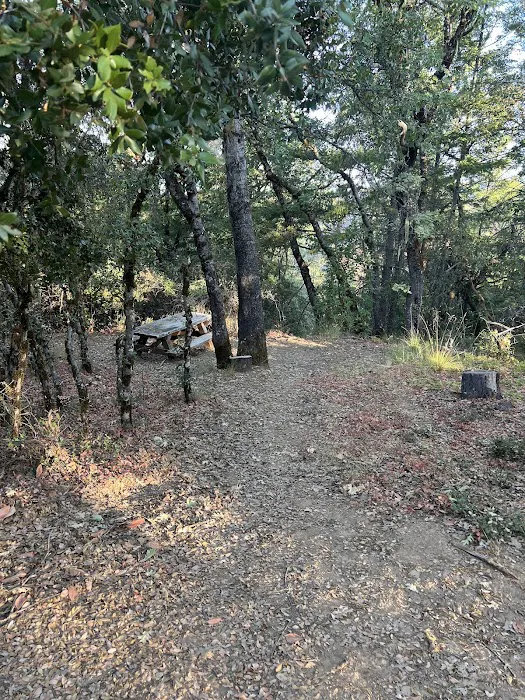 Mayacmas Campground Picture 6