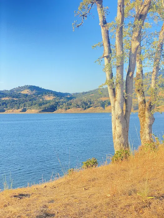 Miti Campground Picture 2