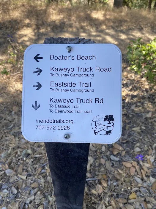 Miti Campground Picture 7