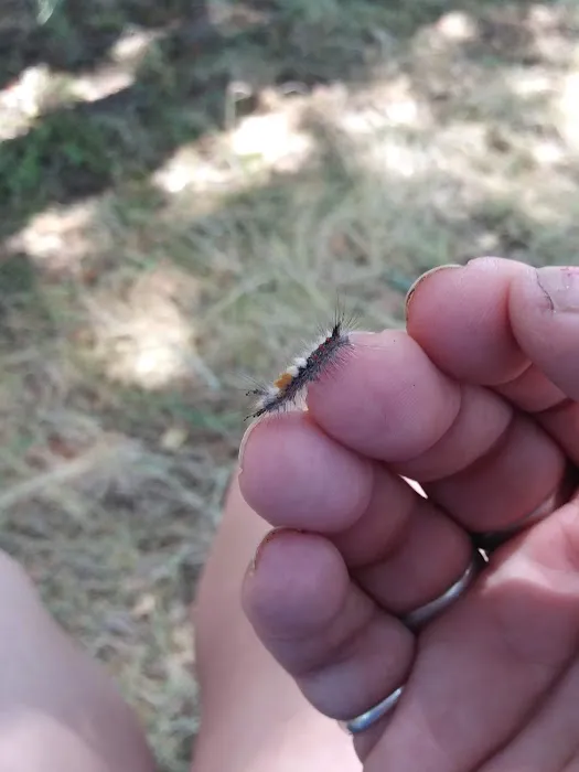 Miti Campground Picture 9