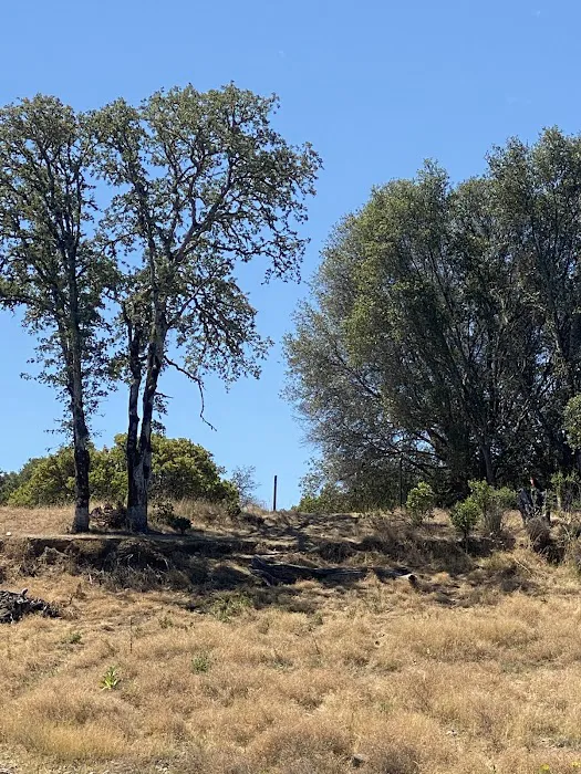 Miti Campground Picture 6