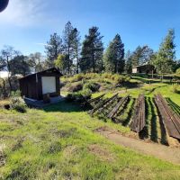 Bushay Camp Ground Little Bear Campsite ico