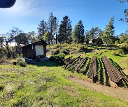 Bushay Camp Ground Little Bear Campsite