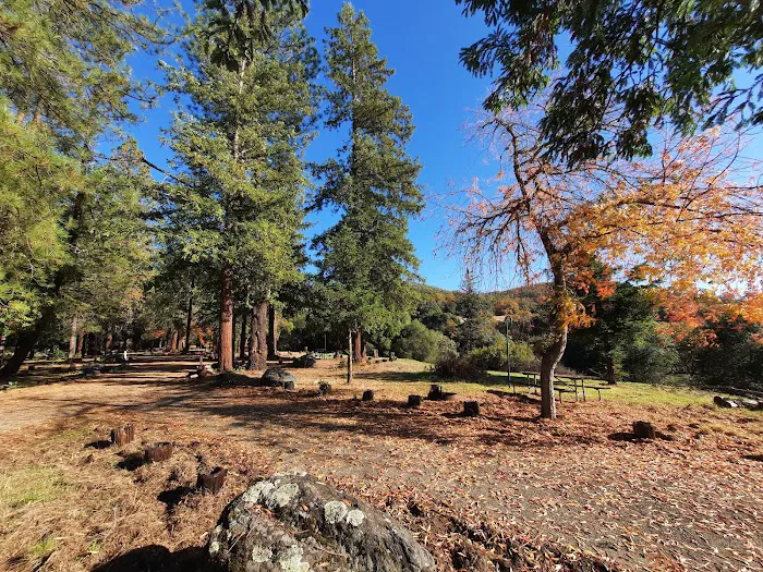 Bushay Camp Ground Little Bear Campsite Picture 8