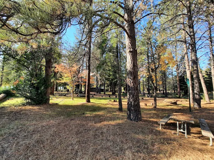 Bushay Camp Ground Little Bear Campsite Picture 6