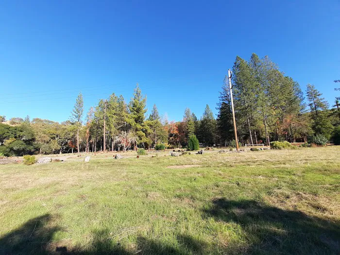 Bushay Camp Ground Little Bear Campsite Picture 7