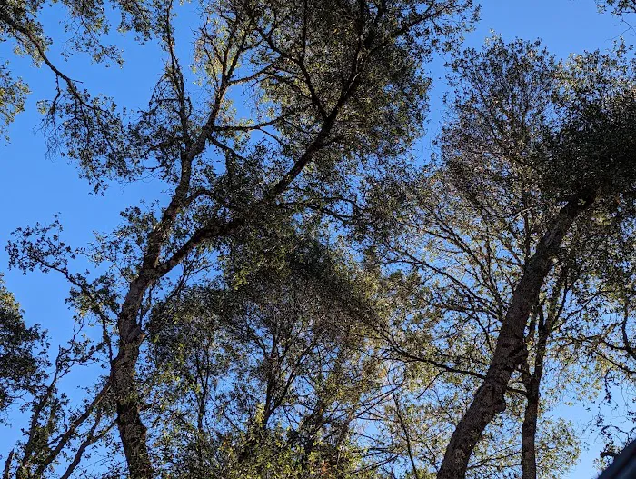 Bushay Recreation Area Picture 9
