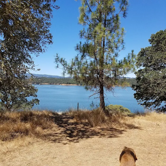 Bushay Recreation Area Picture 5