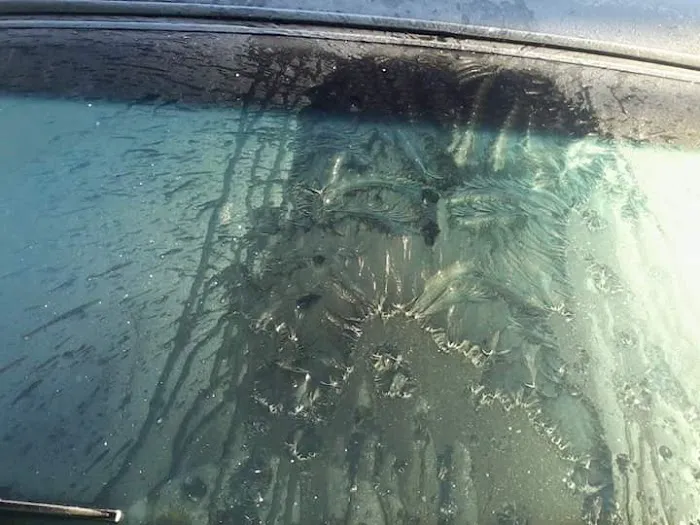 Roseville Estates MHP, LLC Picture 2