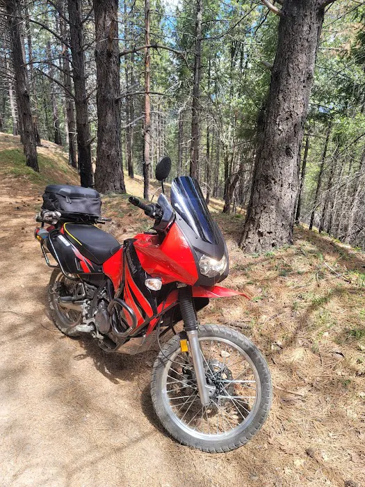 Penny Pines Campground Picture 2