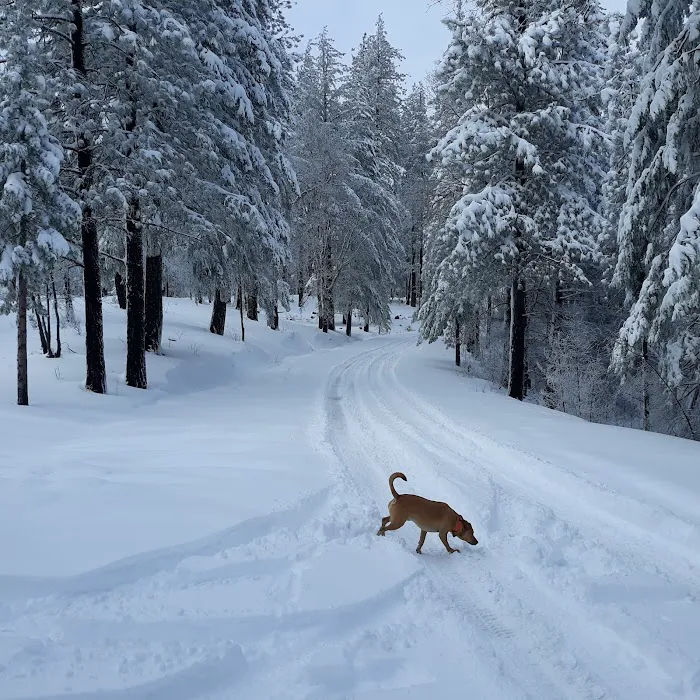 Penny Pines Campground Picture 3
