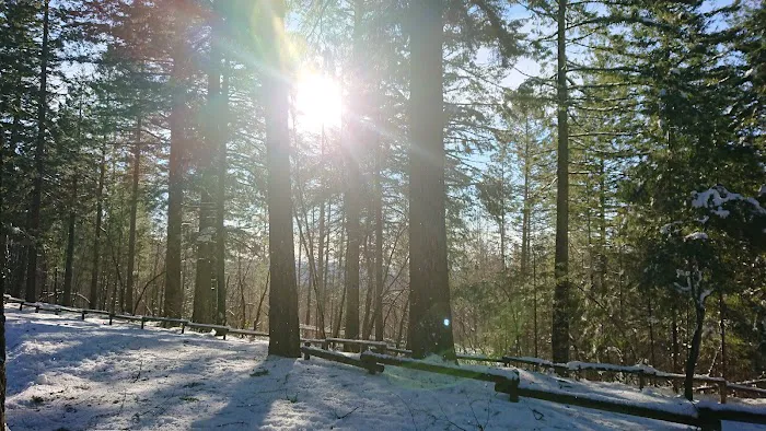 Penny Pines Campground Picture 6