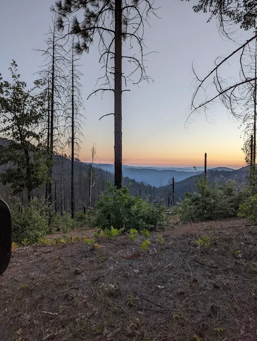 Penny Pines Campground Picture 5