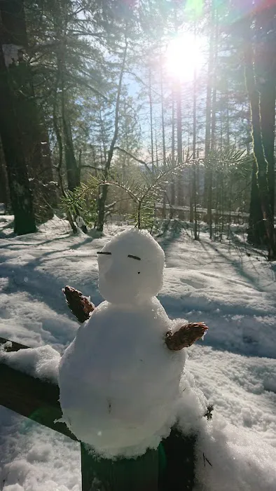 Penny Pines Campground Picture 4