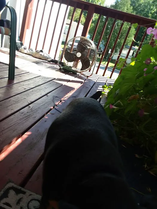 Five Star Mobile Estates Picture 8