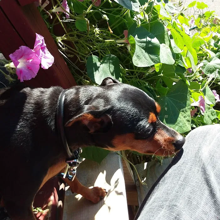 Five Star Mobile Estates Picture 10