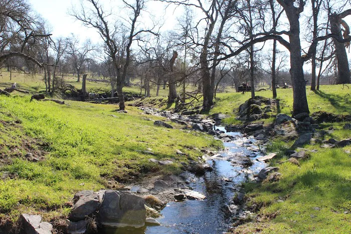 Kingdom Historical Trust Inc (KHTI) event site Picture 2