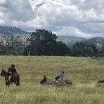 Kingdom Historical Trust Inc (KHTI) event site