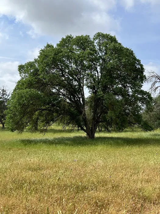 Kingdom Historical Trust Inc (KHTI) event site Picture 9