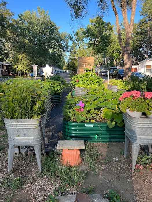 Woodlawn Terrace Cooperative Picture 3