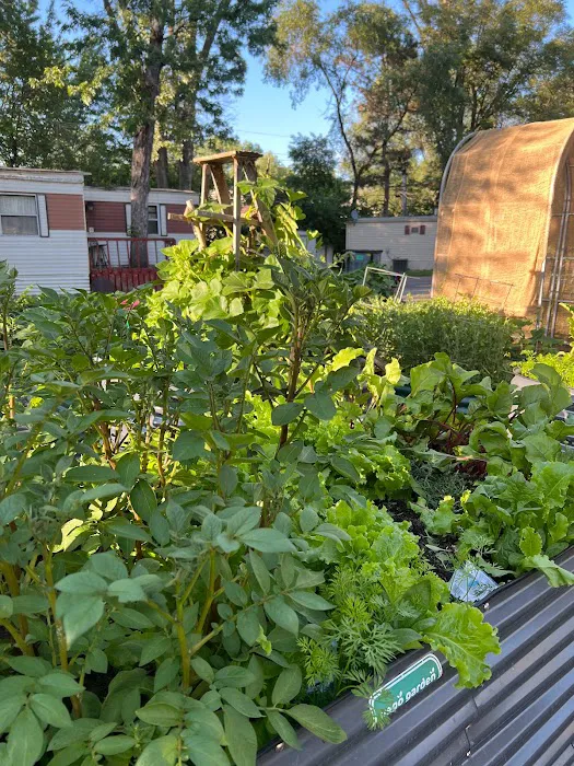 Woodlawn Terrace Cooperative Picture 6