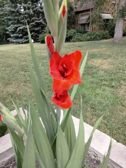 Woodlawn Terrace Cooperative Picture 10