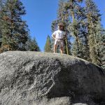 Tamarack Flat Campground