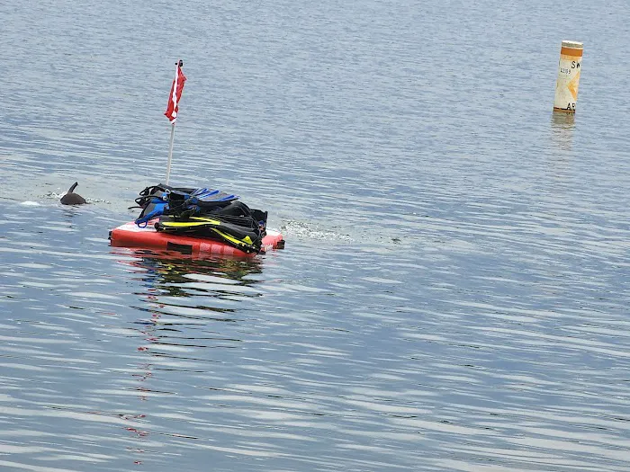 Golden Acres RV Park Picture 9