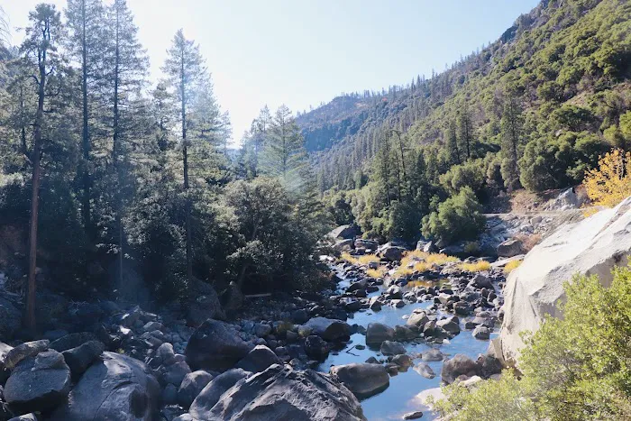 Dirt Flat Campground Picture 6