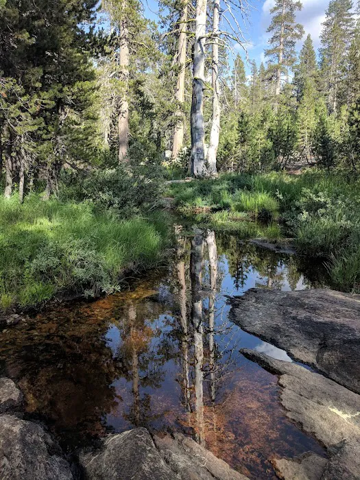 White Wolf Campground Picture 8