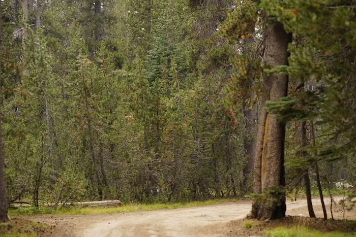White Wolf Campground Picture 10