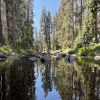 Yosemite Creek Campground ico