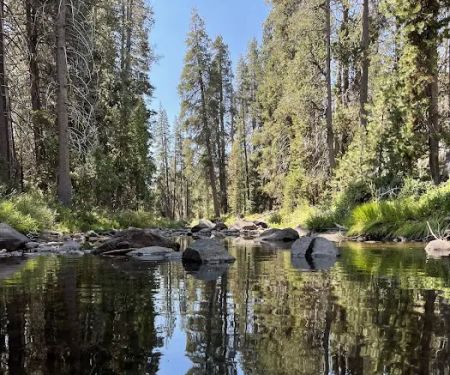 Yosemite Creek Campground