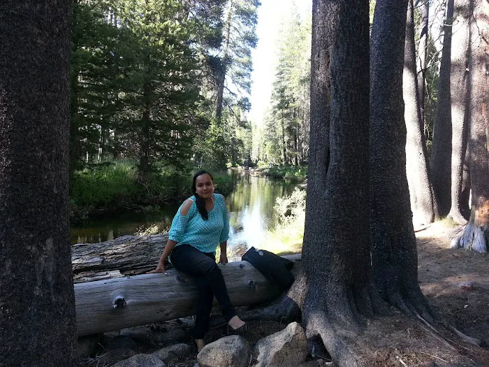 Yosemite Creek Campground Picture 5