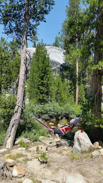 Yosemite Creek Campground Picture 9