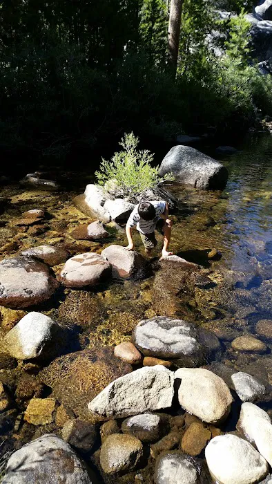 Yosemite Creek Campground Picture 8