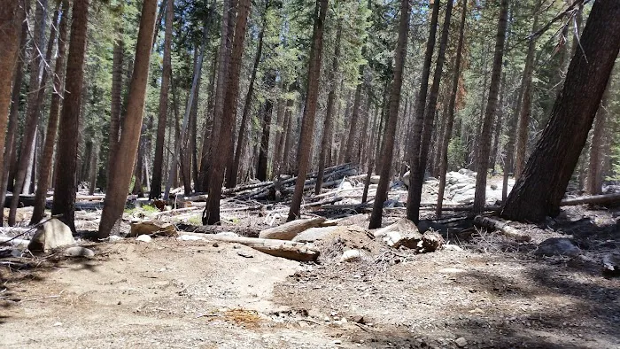 Yosemite Creek Campground Picture 7