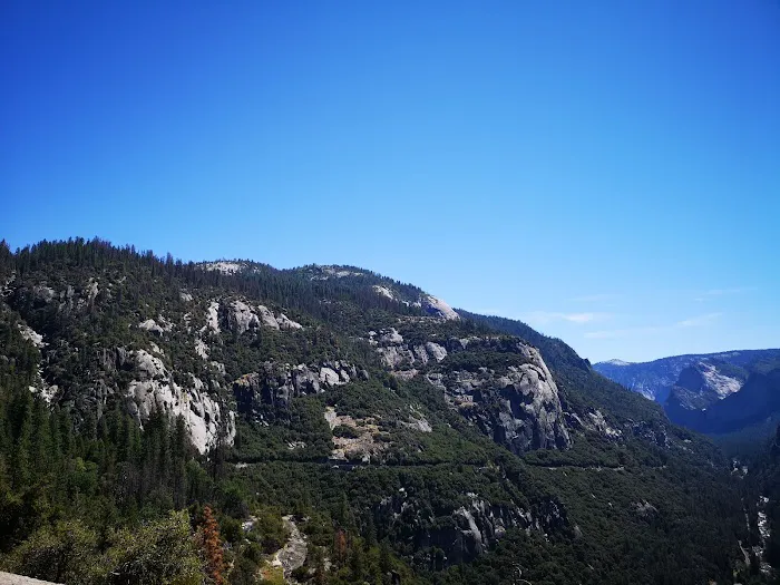 Yosemite Creek Campground Picture 6