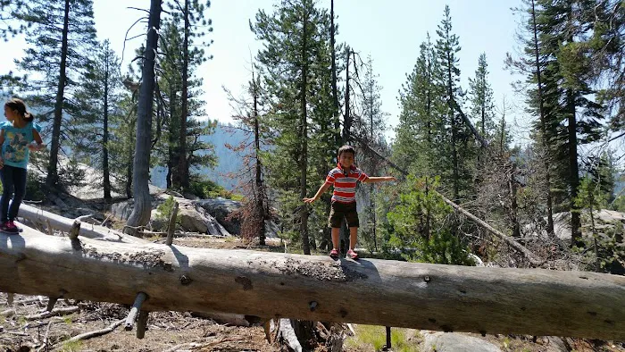 Yosemite Creek Campground Picture 10