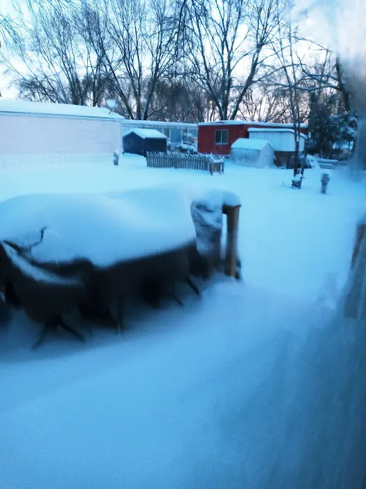 Eastwood Manor Mobile Home Park Picture 5