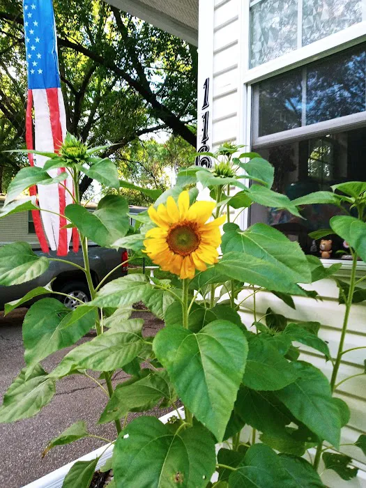 Eastwood Manor Mobile Home Park Picture 6