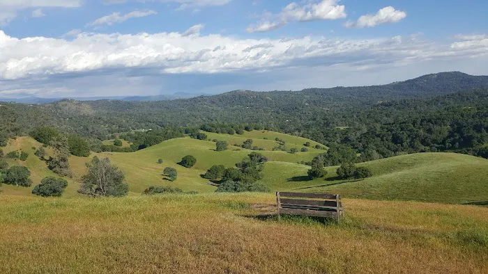 Wildhaven Yosemite Glamping Picture 9