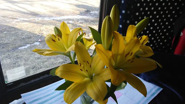 Lime Valley Mobile Home Park Picture 5