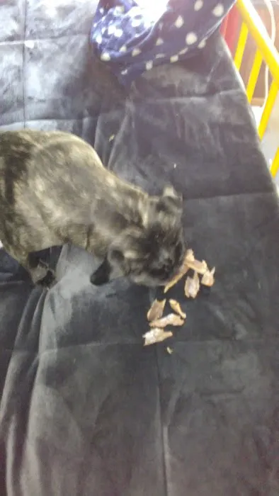 Lime Valley Mobile Home Park Picture 4