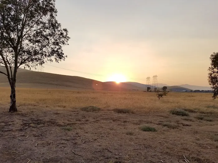 San Luis Creek RV Campsite Picture 8