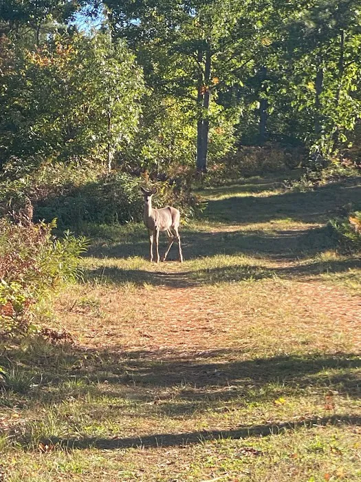 Nature RV Resort Picture 6