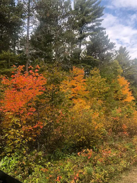 Nature RV Resort Picture 9