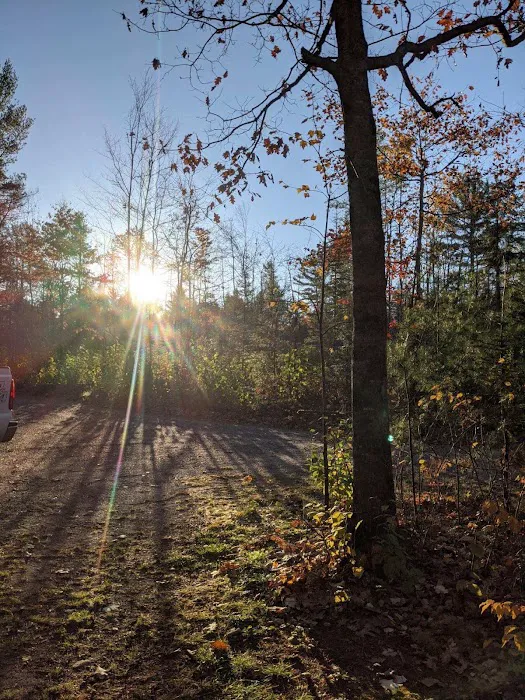 Borderline RV Park Picture 10